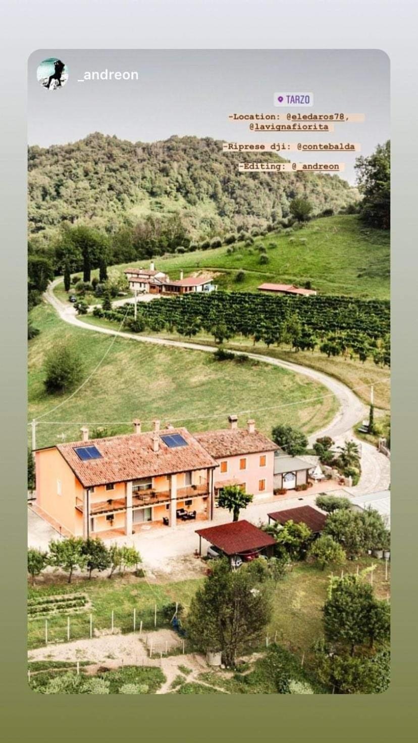 La Vigna Fiorita B&B Tarzo Εξωτερικό φωτογραφία